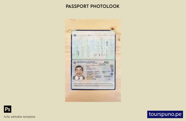 listo para imprimir la plantilla de aspecto fotográfico del pasaporte de Alemani
